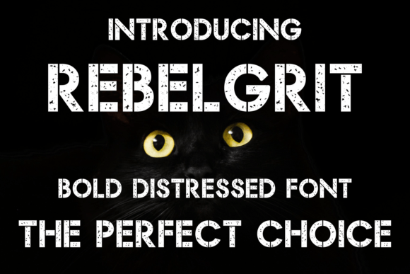 Rebel Grit Typeface: A Distressed Display Font for Web Designers